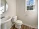 Comfortable bathroom featuring a sink, toilet, and window with natural light at 13903 Mallard Roost Rd, Charlotte, NC 28262