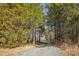 Gravel driveway is flanked by trees and brush on a sunny day at 14325 Rocky River E Rd, Davidson, NC 28036