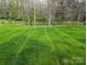 Expansive green backyard with neatly mowed grass and a backdrop of mature trees creating a private setting at 203 S Hill Ave # 3, Albemarle, NC 28001
