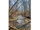 Scenic creek flowing through a wooded area, offering a tranquil and natural setting at 351 York Spann Rd, Hamptonville, NC 27020