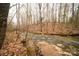 Creek flowing amidst trees, showcasing a natural and picturesque landscape at 351 York Spann Rd, Hamptonville, NC 27020