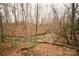 A beautiful creek flows through a wooded lot, adding natural beauty and a serene water feature to the property at 351 York Spann Rd, Hamptonville, NC 27020