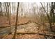 A beautiful creek flows through a wooded lot, adding natural beauty and a serene water feature to the property at 351 York Spann Rd, Hamptonville, NC 27020