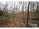 Idyllic creek view surrounded by wooded terrain, perfect for nature enthusiasts at 351 York Spann Rd, Hamptonville, NC 27020