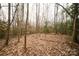 Image capturing the landscape with dense trees and leaf-covered ground at 351 York Spann Rd, Hamptonville, NC 27020