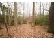 A wooded lot with mature trees and natural undergrowth creates a tranquil and private setting for a future home at 351 York Spann Rd, Hamptonville, NC 27020