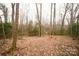 Shot of the wooded area, showcasing towering trees and a leaf-strewn landscape at 351 York Spann Rd, Hamptonville, NC 27020