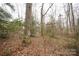 View of the property's natural landscape, featuring mature trees and foliage at 351 York Spann Rd, Hamptonville, NC 27020