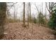 Scene of the property's terrain with mature trees, offering a sense of seclusion at 351 York Spann Rd, Hamptonville, NC 27020