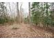 View of trees with ground covered in foliage, showcasing the property's natural beauty at 351 York Spann Rd, Hamptonville, NC 27020