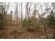 Photo showcasing the property's wooded area with lush greenery and natural terrain at 351 York Spann Rd, Hamptonville, NC 27020