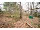 Image featuring a forest area with mature trees and a green outbuilding at 351 York Spann Rd, Hamptonville, NC 27020