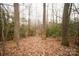 A wooded lot with mature trees and natural undergrowth creates a tranquil and private setting for a future home at 351 York Spann Rd, Hamptonville, NC 27020