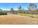 A wide expanse of lawn in a backyard with black metal fence and privacy trees at 11206 Grenfell Ave, Huntersville, NC 28078