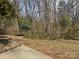 Unkept side yard with mature trees and overgrown landscaping, potential for creating a natural retreat at 128 Trexler Ave, Mount Holly, NC 28120