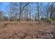 A view of the property showing the land and trees on a sunny day at 1874 Mcilwain Rd, Lancaster, SC 29720