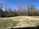 Large backyard with expansive lawn and a natural wooded backdrop on a clear, sunny day at 228 Hazeleen Ave, Belmont, NC 28012
