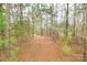 A picturesque wooded area with a pine needle floor offers a serene escape into nature at 1766 Duckwood Rd, Lancaster, SC 29720