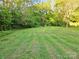 Large grassy backyard with a tree line at 202 Oakwood St, Stanfield, NC 28163