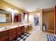 The main bathroom features double sinks, a vanity area, and access to the walk-in closet at 3841 Shasta Cir, Clover, SC 29710