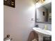 Modern powder room with pedestal sink, decorative mirror and bronze towel racks at 3841 Shasta Cir, Clover, SC 29710