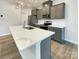 Modern kitchen with stainless steel appliances, a large island, and gray cabinets at 5629 Axil Ln, Charlotte, NC 28269