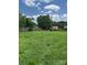 View of the backyard featuring a large green lawn and some trees in the background at 948 Shannon Bradley Rd, Gastonia, NC 28052