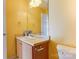 Bathroom featuring a single sink, wooden cabinets, and a large mirror at 1362 Copper Creek Ln, Fort Mill, SC 29715