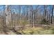 Picture of the land and trees included with the property at 468 White Oak Branch Rd, Statesville, NC 28625