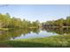 Scenic pond view with a glimpse of a home nestled amongst lush trees and greenery at 2069 Landry Ln # 233, Rock Hill, SC 29732