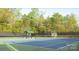 Well-maintained tennis court surrounded by lush greenery and tall trees at 2069 Landry Ln # 233, Rock Hill, SC 29732