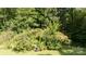 Green backyard area overgrown with foliage and bushes at 912 Silver Charm Ln, York, SC 29745