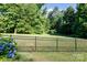 Well-maintained backyard with green grass, privacy fence, and lush blue hydrangeas at 912 Silver Charm Ln, York, SC 29745