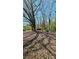 Rustic property featuring a weathered exterior, trees, and a natural setting, ideal for restoration or new construction at 1116 Medlin Rd, Monroe, NC 28112
