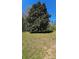 A large, mature tree offers shade on a grassy lawn, creating a tranquil outdoor space at 1116 Medlin Rd, Monroe, NC 28112