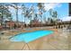 Serene pool area with lush landscaping, featuring a built-in outdoor kitchen, and an open sky view at 894 Abilene Ln, Fort Mill, SC 29715