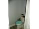 Powder room featuring a toilet with a teal seat cover, a small potted plant, and neutral paint at 128 Summerlake Dr, New London, NC 28127