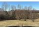 Open backyard with a large grassy area and several trees at 2084 W Memorial Hwy Rd, Union Grove, NC 28689