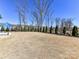 Large backyard with a wrought iron fence and mature trees at 388 Luray Way, Rock Hill, SC 29730