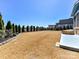 Spacious backyard featuring green trees and landscaping at 388 Luray Way, Rock Hill, SC 29730