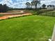 Spacious back yard with fresh sod and black fence overlooking a wooded area on a bright, sunny day at 7459 Fighting Creek Rd # 33, Sherrills Ford, NC 28673