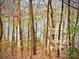 Scenic landscape view of a wooded area near a lake, with emerging spring foliage offering privacy and natural beauty at 1146 Crestmont Se Dr, Concord, NC 28025