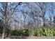Serene backyard showing mature trees and lush greenery creating a peaceful, private setting at 802 Lewis St, Gastonia, NC 28054