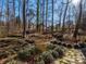Landscaped backyard with a small bridge and stone pathway at 1590 Daybreak Ridge Rd, Kannapolis, NC 28081