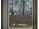 A view of the backyard, displaying the natural landscape and a serene environment at 203 Makayla Ct, Fort Mill, SC 29715