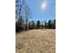 Dry grassy field surrounded by trees at 191 Ashford Dr, Olin, NC 28660