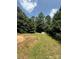 Expansive backyard surrounded by lush greenery with a storage shed at 191 Ashford Dr, Olin, NC 28660