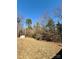Backyard featuring a storage shed and a field surrounded by trees at 191 Ashford Dr, Olin, NC 28660