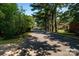 Quiet street view lined with mature trees, showcasing the neighborhood's peaceful and inviting atmosphere at 2250 Arnold Dr, Charlotte, NC 28205