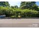 Quiet street view with mature trees and greenery, showcasing the neighborhood's peaceful ambiance at 2250 Arnold Dr, Charlotte, NC 28205